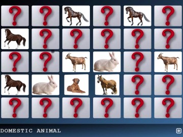 Domestic Animal Memory Challenge