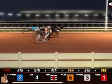 Greyhound Racing
