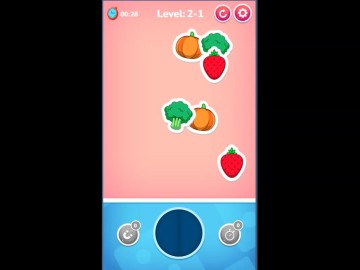 Pair Matching Puzzle 2D