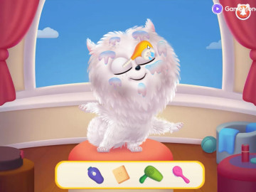 Pets Adventure A Day To Remember