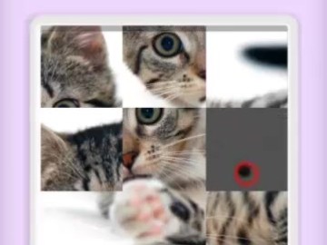 Picture Slider Animals