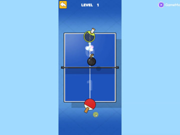 Ping Pong Table Tennis